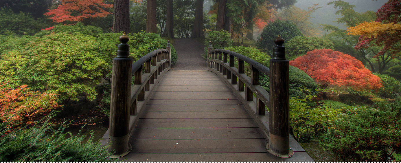Landscaped garden project with a wooden bridge